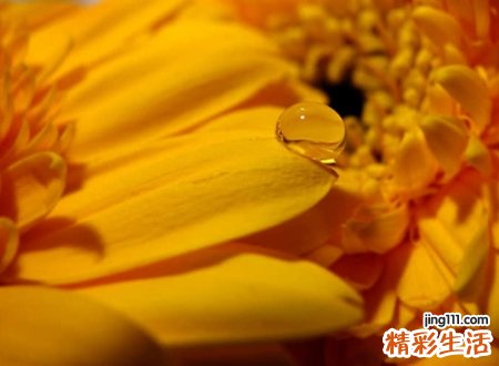 抖音经典网名，小清新个性抖音昵称