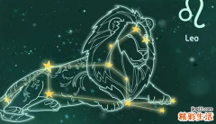 狮子座12月运势2022 狮子座和什么座最配对