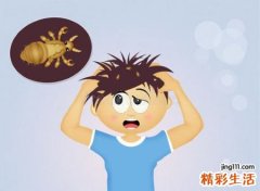 梦见抓虱子并挤死有什么预兆，做梦梦到给别人捉虱子弄死