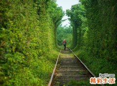 土命最厉害的哪种土