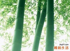 高冷帅气最潮的微信昵称，炫酷值得炫耀的微信个性网名