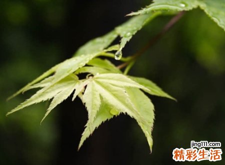 最欠揍的微信网名，逗比搞乐有喜感的微信个性名字