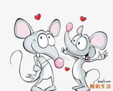 ?属兔和属鼠的合不合？属兔和属鼠的婚姻如何？