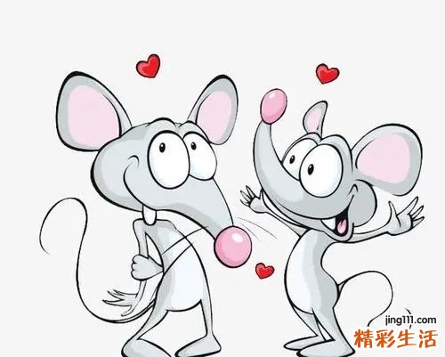 ?属兔和属鼠的合不合？属兔和属鼠的婚姻如何？