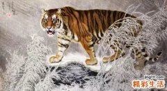 虎猴夫妻真的会克死吗 虎和猴能成为夫妻吗