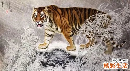 虎猴夫妻真的会克死吗 虎和猴能成为夫妻吗