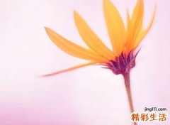 高端帅气的抖音英文网名，抖音爆红涨粉的最火英文昵称