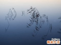 经典颓废的微信名字，不再打扰的微信个性网名