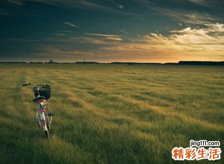 超贱超欠揍的搞笑游戏名字，王者很贱又欠揍的网名