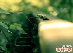 搞笑又皮还欠揍的沙雕网名，滑稽可笑的抖音幽默昵称