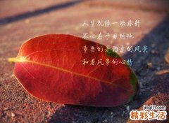 魅力非凡的新颖快手网名，独特有震撼力的快手个性名字