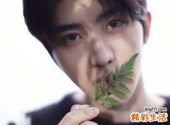 9月27日是什么星座，阳历9月27号出生的人性格命运