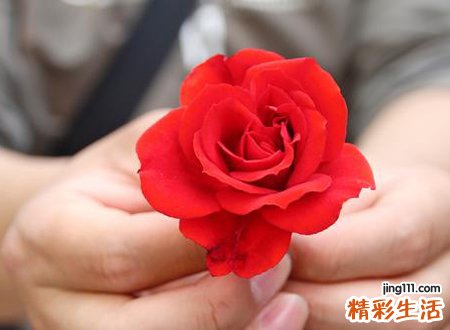 心思缜密的人什么特点