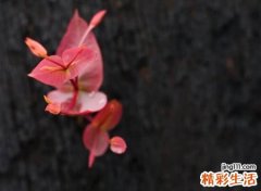 高端雅致好听的快手名字，今年快手上会火的霸气名字