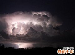 梦见世界末日好多大鸟在空中盘旋嚎叫