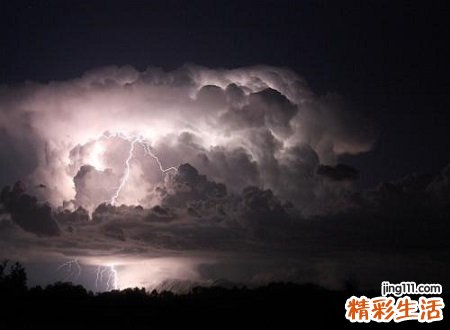 梦见世界末日好多大鸟在空中盘旋嚎叫