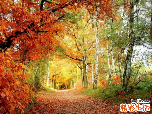 摩羯座的未来一个月运势 摩羯座未来几天运势