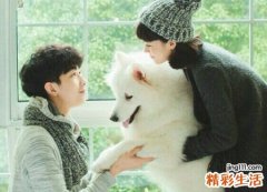 兔和猴相配婚姻如何，属兔属猴适合做夫妻吗