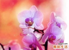 内涵有寓意的快手昵称，独一无二的快手热门网名