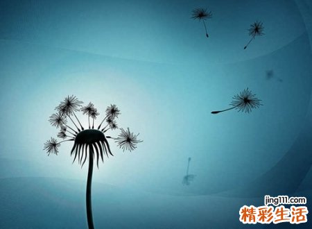 简短的小清新英文昵称，欧美范甜美可人的英文时尚名字
