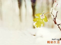 高冷霸气自带气场的微信昵称，最火最霸气微信名