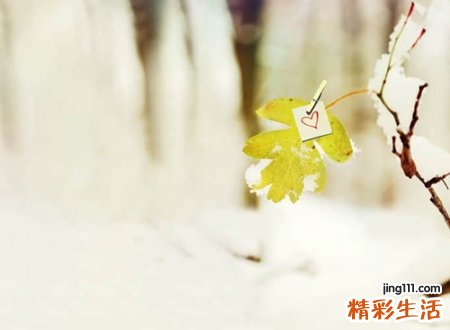 高冷霸气自带气场的微信昵称，最火最霸气微信名