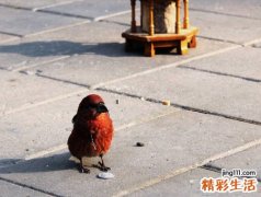 梦见捡钱是什么意思，做梦梦到捡了好多100元钱