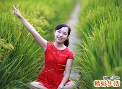 属羊人的永久幸运颜色，一生旺属羊的颜色有哪些