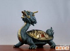 家里为什么不能摆龙龟