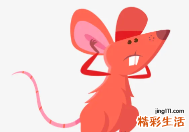 1984年属鼠是什么命 1984年属鼠五行属什么