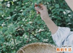 女人右手心有痣好不好