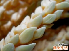 经典好听不易撞的快手昵称，独一无二的快手新版网名