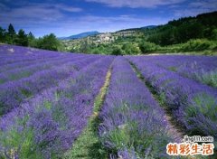 经典时尚前沿最红的抖音网名，好听引人注意的抖音红火名字