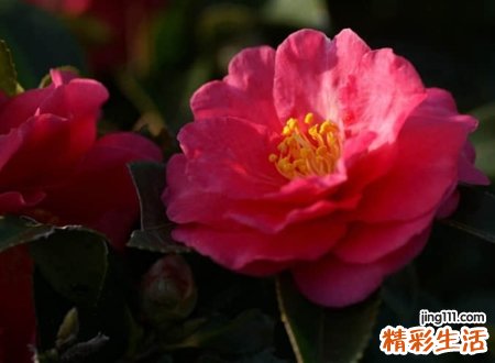 大气有涵养的微信经典名字，稳重成熟气派的微信网名