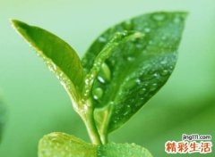 最新潮流的抖音昵称，炫酷热门的时尚抖音网名