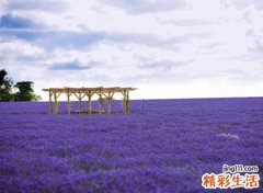 经典独特的微信潮流名字，霸气青春有个性的微信网名