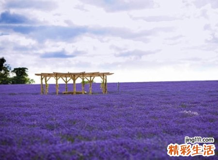 经典独特的微信潮流名字，霸气青春有个性的微信网名