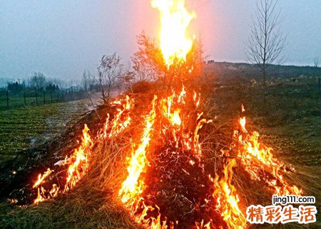 梦见和亲人一起烧纸好不好，已婚女人梦见烧纸钱