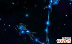 双鱼座下周运势 双鱼座下周最新运势大全