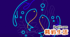 双鱼座今日运势 双鱼座最新超准运势详解
