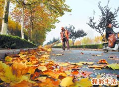 梦见扫落叶是什么意思，女人梦见拿扫帚扫落叶