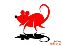 1984属鼠38岁后有十年大运 1984属鼠2022年运势如何