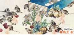 1972年属鼠的是什么命 1972年属鼠2022年运势