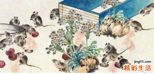 1972年属鼠的是什么命 1972年属鼠2022年运势