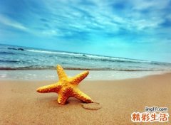 最可耐的微信网名，好听最可耐的微信个性名字