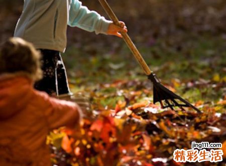 梦见扫落叶枯萎的树叶好不好，做梦梦到和别人一起扫落叶