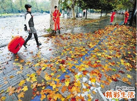 梦见地上很多树叶我在扫好吗，女人梦见扫落叶