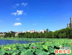7月25日是什么日子 2022年7月25日老黄历查询