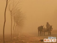 梦见沙尘暴是什么意思，女人梦见沙尘暴躲过了