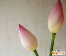 2022年水瓶座8月运势 水瓶座2022年下半年运势分析